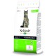 Schesir Cat Maintenance Lamb, 1er Pack (1 x 1.55 kg Schesir Cat Maintenance Lamb, 1er Pack (1 x 1.55 kg