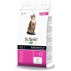 Schesir Cat Maintenance Lamb, 1er Pack (1 x 1.55 kg Schesir Cat Maintenance Lamb, 1er Pack (1 x 1.55 kg