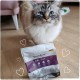 Venandi Animal Premium Dry Cat Food, Chicken, Grain-Free with Lots of Fresh Meat, 1.5 kg