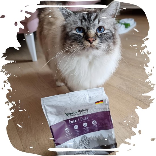 Venandi Animal Premium Dry Food for Cats, Salmon, Grain-Free with Lots of Fresh Salmon, 1.5 kg Venandi Animal Premium Dry Food for Cats, Salmon, Grain-Free with Lots of Fresh Salmon, 1.5 kg