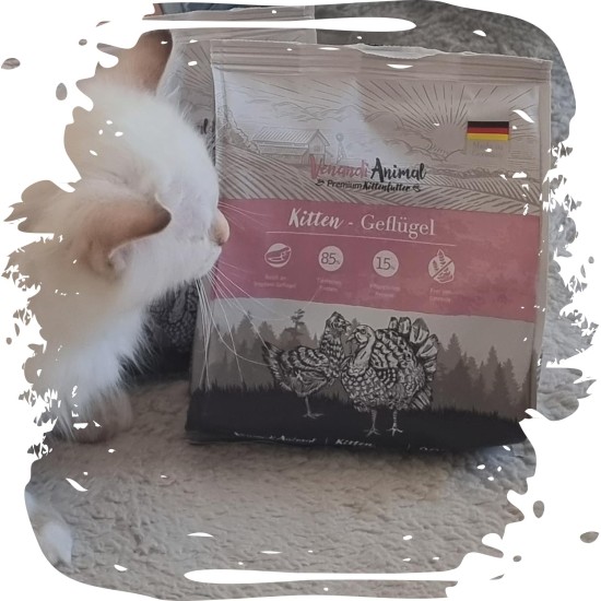 Venandi Animal Premium Dry Food for Cats, Salmon, Grain-Free with Lots of Fresh Salmon, 1.5 kg Venandi Animal Premium Dry Food for Cats, Salmon, Grain-Free with Lots of Fresh Salmon, 1.5 kg
