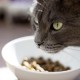 Venandi Animal Premium Dry Food for Cats, Salmon, Grain-Free with Lots of Fresh Salmon, 1.5 kg Venandi Animal Premium Dry Food for Cats, Salmon, Grain-Free with Lots of Fresh Salmon, 1.5 kg
