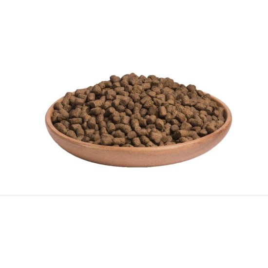 Wellness CORE Dry Cat Food, Grain Free, High Meat Percentage, No Artificial Additives, Various Sizes and Varieties, Kitten Wellness CORE Dry Cat Food, Grain Free, High Meat Percentage, No Artificial Additives, Various Sizes and Varieties, Kitten