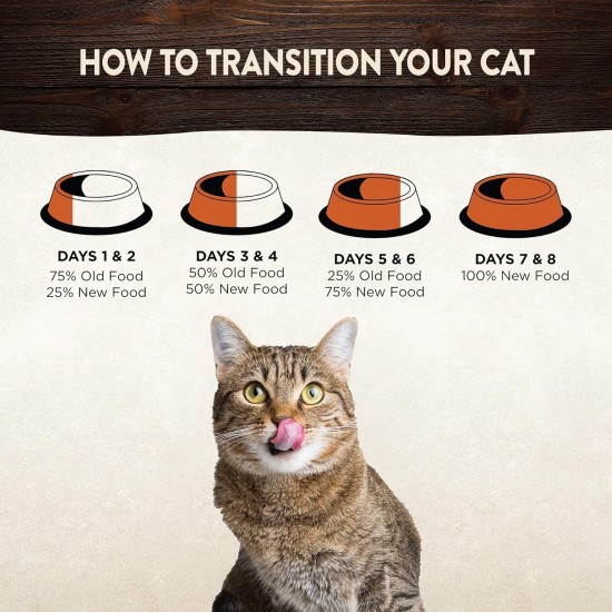 Wellness CORE Dry Cat Food, Grain Free, High Meat Percentage, No Artificial Additives, Various Sizes and Varieties, Kitten Wellness CORE Dry Cat Food, Grain Free, High Meat Percentage, No Artificial Additives, Various Sizes and Varieties, Kitten