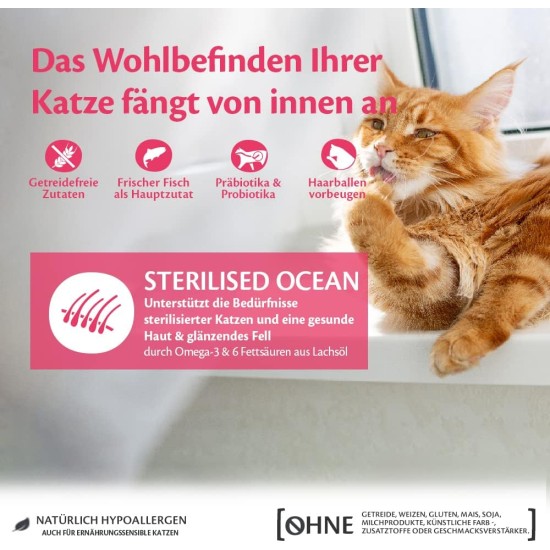 Wellness Core Sterilised Original Dry Cat Food for Sterilised Cats, Grain Free, High Meat Content, Turkey and Chicken 4 kg Wellness Core Sterilised Original Dry Cat Food for Sterilised Cats, Grain Free, High Meat Content, Turkey and Chicken 4 kg