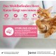 Wellness Core Sterilised Original Dry Cat Food for Sterilised Cats, Grain Free, High Meat Content, Turkey and Chicken 4 kg Wellness Core Sterilised Original Dry Cat Food for Sterilised Cats, Grain Free, High Meat Content, Turkey and Chicken 4 kg