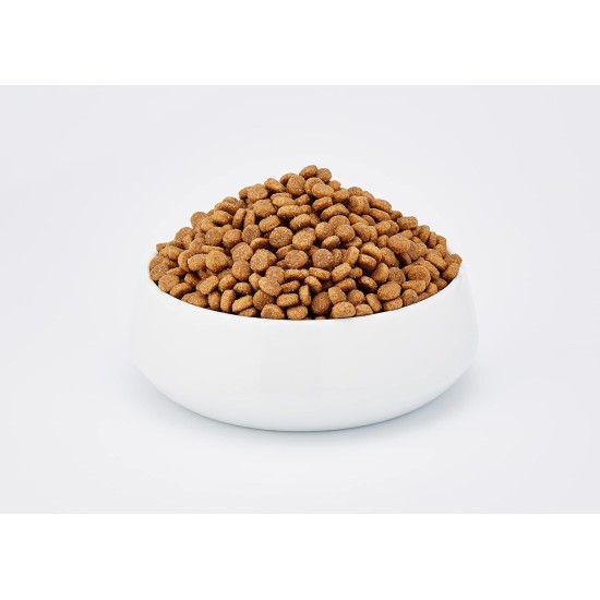 Wellness Core Sterilised Original Dry Cat Food for Sterilised Cats, Grain Free, High Meat Content, Turkey and Chicken 4 kg Wellness Core Sterilised Original Dry Cat Food for Sterilised Cats, Grain Free, High Meat Content, Turkey and Chicken 4 kg