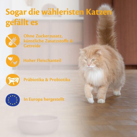 Wellness Core Sterilised Original Dry Cat Food for Sterilised Cats, Grain Free, High Meat Content, Turkey and Chicken 4 kg Wellness Core Sterilised Original Dry Cat Food for Sterilised Cats, Grain Free, High Meat Content, Turkey and Chicken 4 kg