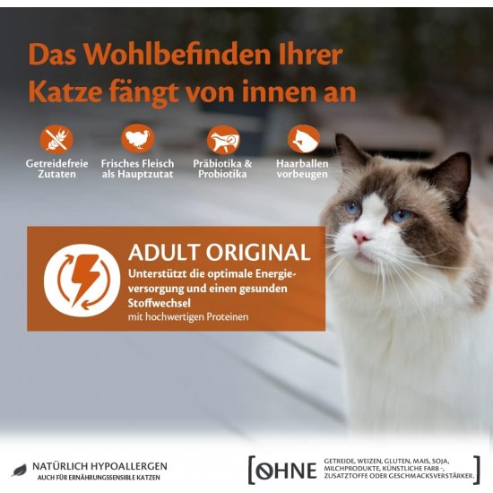 Wellness Core Sterilised Original Dry Cat Food for Sterilised Cats, Grain Free, High Meat Content, Turkey and Chicken 4 kg Wellness Core Sterilised Original Dry Cat Food for Sterilised Cats, Grain Free, High Meat Content, Turkey and Chicken 4 kg