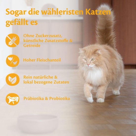 Wellness Core Sterilised Original Dry Cat Food for Sterilised Cats, Grain Free, High Meat Content, Turkey and Chicken 4 kg Wellness Core Sterilised Original Dry Cat Food for Sterilised Cats, Grain Free, High Meat Content, Turkey and Chicken 4 kg
