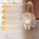 Wellness Core Sterilised Original Dry Cat Food for Sterilised Cats, Grain Free, High Meat Content, Turkey and Chicken 4 kg Wellness Core Sterilised Original Dry Cat Food for Sterilised Cats, Grain Free, High Meat Content, Turkey and Chicken 4 kg