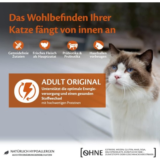 Wellness Core Sterilised Original Dry Cat Food for Sterilised Cats, Grain Free, High Meat Content, Turkey and Chicken 4 kg Wellness Core Sterilised Original Dry Cat Food for Sterilised Cats, Grain Free, High Meat Content, Turkey and Chicken 4 kg