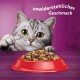 Whiskas Adult 1+ Dry Food - Cat Dry Food for Adult Cats - Chicken - 5 x 800 g Whiskas Adult 1+ Dry Food - Cat Dry Food for Adult Cats - Chicken - 5 x 800 g