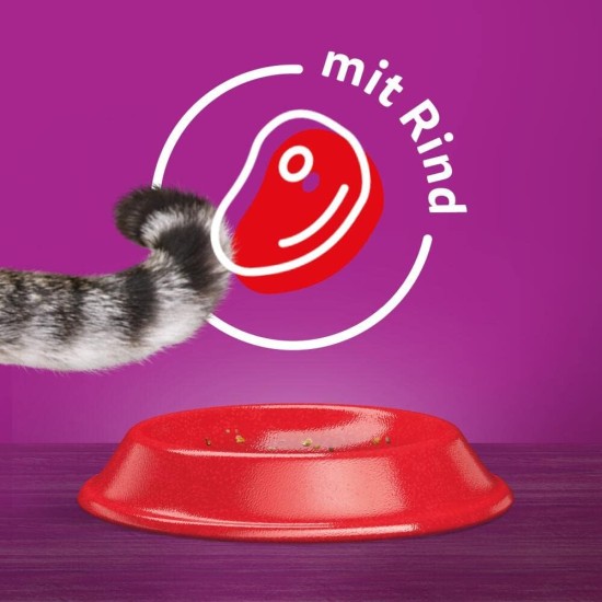 Whiskas Adult 1+ Dry Food - Cat Dry Food for Adult Cats - Chicken - 5 x 800 g Whiskas Adult 1+ Dry Food - Cat Dry Food for Adult Cats - Chicken - 5 x 800 g