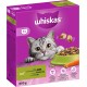 Whiskas Adult 1+ Dry Food - Cat Dry Food for Adult Cats - Chicken - 5 x 800 g Whiskas Adult 1+ Dry Food - Cat Dry Food for Adult Cats - Chicken - 5 x 800 g
