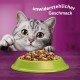 Whiskas Adult 1+ Dry Food - Cat Dry Food for Adult Cats - Chicken - 5 x 800 g Whiskas Adult 1+ Dry Food - Cat Dry Food for Adult Cats - Chicken - 5 x 800 g