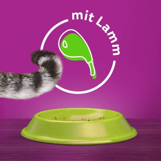 Whiskas Adult 1+ Dry Food - Cat Dry Food for Adult Cats - Chicken - 5 x 800 g Whiskas Adult 1+ Dry Food - Cat Dry Food for Adult Cats - Chicken - 5 x 800 g