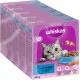 Whiskas Adult 1+ Dry Food - Cat Dry Food for Adult Cats - Chicken - 5 x 800 g Whiskas Adult 1+ Dry Food - Cat Dry Food for Adult Cats - Chicken - 5 x 800 g