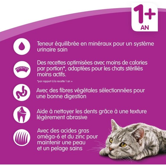Whiskas Cat / Dry Food Adult 1+ for adult cats with chicken, 2 bags (2 x 1.9 kg) Whiskas Cat / Dry Food Adult 1+ for adult cats with chicken, 2 bags (2 x 1.9 kg)