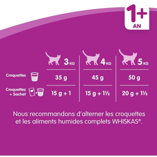 Whiskas Cat / Dry Food Adult 1+ for adult cats with chicken, 2 bags (2 x 1.9 kg) Whiskas Cat / Dry Food Adult 1+ for adult cats with chicken, 2 bags (2 x 1.9 kg)