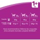 Whiskas Cat / Dry Food Adult 1+ for adult cats with chicken, 2 bags (2 x 1.9 kg) Whiskas Cat / Dry Food Adult 1+ for adult cats with chicken, 2 bags (2 x 1.9 kg)
