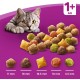 Whiskas Cat / Dry Food Adult 1+ for adult cats with chicken, 2 bags (2 x 1.9 kg) Whiskas Cat / Dry Food Adult 1+ for adult cats with chicken, 2 bags (2 x 1.9 kg)