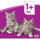 Whiskas Cat / Dry Food Adult 1+ for adult cats with chicken, 2 bags (2 x 1.9 kg) Whiskas Cat / Dry Food Adult 1+ for adult cats with chicken, 2 bags (2 x 1.9 kg)
