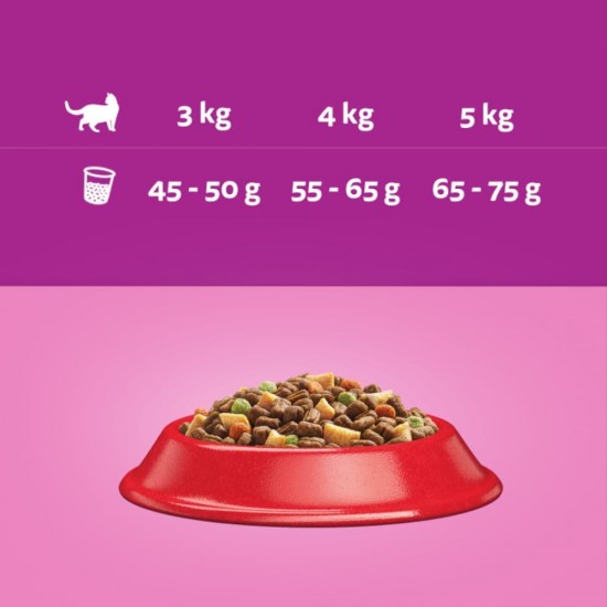 Whiskas Cat / Dry Food Adult 1+ for adult cats with chicken, 2 bags (2 x 1.9 kg) Whiskas Cat / Dry Food Adult 1+ for adult cats with chicken, 2 bags (2 x 1.9 kg)