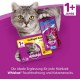 Whiskas Cat / Dry Food Adult 1+ for adult cats with chicken, 2 bags (2 x 1.9 kg) Whiskas Cat / Dry Food Adult 1+ for adult cats with chicken, 2 bags (2 x 1.9 kg)