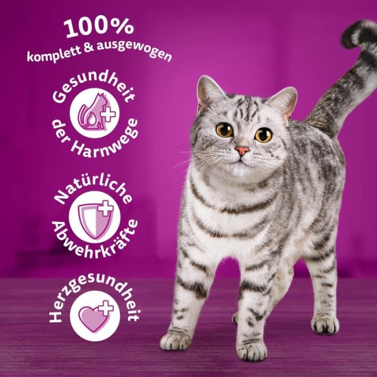 Whiskas Cat Food Dry Food Senior 7+ with Chicken, 6 Bags (6 x 1.9 kg) Whiskas Cat Food Dry Food Senior 7+ with Chicken, 6 Bags (6 x 1.9 kg)