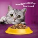 Whiskas Cat Food Dry Food Senior 7+ with Chicken, 6 Bags (6 x 1.9 kg) Whiskas Cat Food Dry Food Senior 7+ with Chicken, 6 Bags (6 x 1.9 kg)