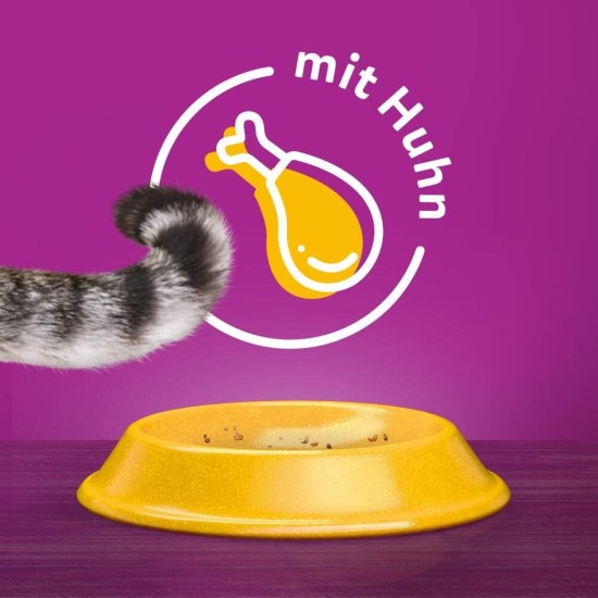 Whiskas Cat Food Dry Food Senior 7+ with Chicken, 6 Bags (6 x 1.9 kg) Whiskas Cat Food Dry Food Senior 7+ with Chicken, 6 Bags (6 x 1.9 kg)
