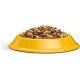 Whiskas Dry Food Adult 1+ with Chicken - Dry Food for Adult Cats, 14 x 300 g Whiskas Dry Food Adult 1+ with Chicken - Dry Food for Adult Cats, 14 x 300 g