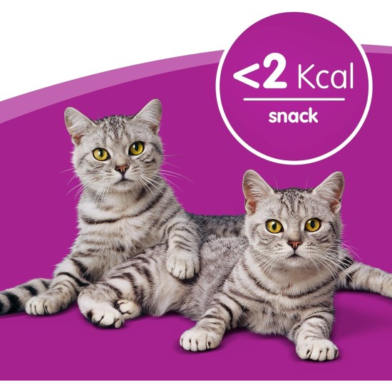 Whiskas Dry Food Adult 1+ with Chicken - Dry Food for Adult Cats, 14 x 300 g Whiskas Dry Food Adult 1+ with Chicken - Dry Food for Adult Cats, 14 x 300 g