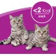 Whiskas Dry Food Adult 1+ with Chicken - Dry Food for Adult Cats, 14 x 300 g Whiskas Dry Food Adult 1+ with Chicken - Dry Food for Adult Cats, 14 x 300 g