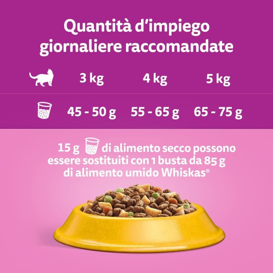 Whiskas Dry Food Adult 1+ with Chicken - Dry Food for Adult Cats, 14 x 300 g Whiskas Dry Food Adult 1+ with Chicken - Dry Food for Adult Cats, 14 x 300 g