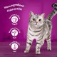 Whiskas Dry Food Adult 1+ with Chicken - Dry Food for Adult Cats, 14 x 300 g Whiskas Dry Food Adult 1+ with Chicken - Dry Food for Adult Cats, 14 x 300 g
