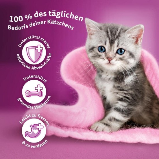 Whiskas Junior Dry Food - Cat Dry Food for Small Cats - Chicken - 5 x 800 g Whiskas Junior Dry Food - Cat Dry Food for Small Cats - Chicken - 5 x 800 g