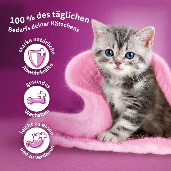 Whiskas Junior Dry Food - Cat Dry Food for Small Cats - Chicken - 5 x 800 g Whiskas Junior Dry Food - Cat Dry Food for Small Cats - Chicken - 5 x 800 g