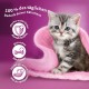 Whiskas Junior Dry Food - Cat Dry Food for Small Cats - Chicken - 5 x 800 g Whiskas Junior Dry Food - Cat Dry Food for Small Cats - Chicken - 5 x 800 g