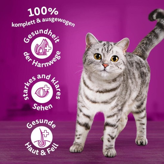 Whiskas cat / dry food 1+ for cats with chicken, 1 bag (7 kg) Whiskas cat / dry food 1+ for cats with chicken, 1 bag (7 kg)