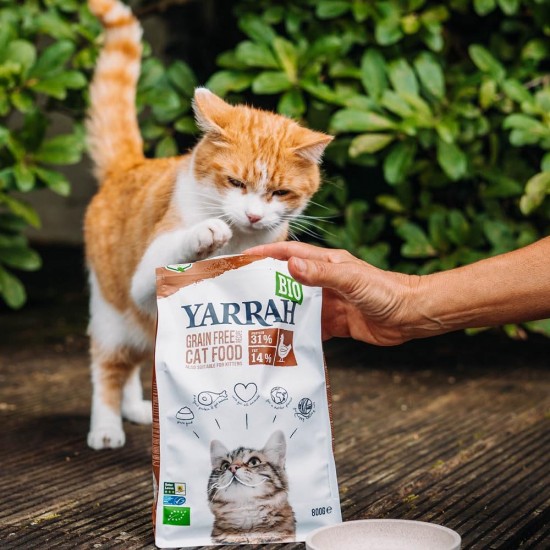 Yarrah Organic Dry Cat Food, Grain-Free, High-Quality Premium Dry Food for Cats, High Nutrient Content, Food for Cats of All Ages with Organic Chicken and MSC Fish, 6 kg Yarrah Organic Dry Cat Food, Grain-Free, High-Quality Premium Dry Food for Cats, High Nutrient Content, Food for Cats of All Ages with Organic Chicken and MSC Fish, 6 kg