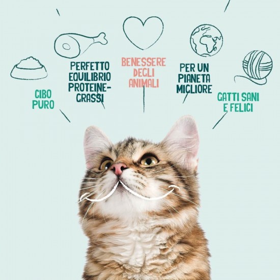 Yarrah Organic Dry Cat Food, Grain-Free, High-Quality Premium Dry Food for Cats, High Nutrient Content, Food for Cats of All Ages with Organic Chicken and MSC Fish, 6 kg Yarrah Organic Dry Cat Food, Grain-Free, High-Quality Premium Dry Food for Cats, High Nutrient Content, Food for Cats of All Ages with Organic Chicken and MSC Fish, 6 kg