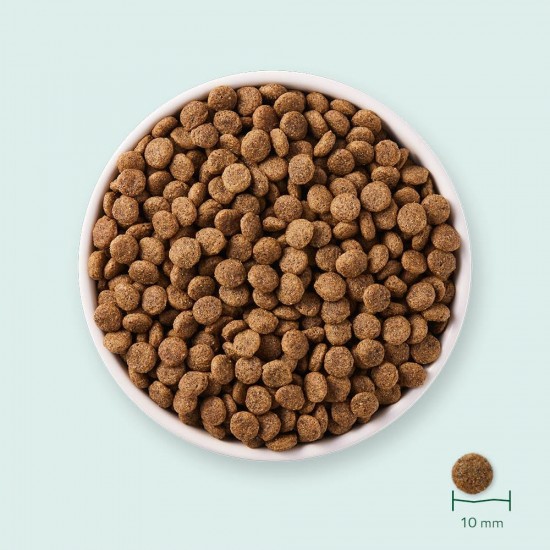 Yarrah Organic Dry Cat Food, Grain-Free, High-Quality Premium Dry Food for Cats, High Nutrient Content, Food for Cats of All Ages with Organic Chicken and MSC Fish, 6 kg Yarrah Organic Dry Cat Food, Grain-Free, High-Quality Premium Dry Food for Cats, High Nutrient Content, Food for Cats of All Ages with Organic Chicken and MSC Fish, 6 kg