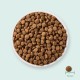 Yarrah Organic Dry Cat Food, Grain-Free, High-Quality Premium Dry Food for Cats, High Nutrient Content, Food for Cats of All Ages with Organic Chicken and MSC Fish, 6 kg Yarrah Organic Dry Cat Food, Grain-Free, High-Quality Premium Dry Food for Cats, High Nutrient Content, Food for Cats of All Ages with Organic Chicken and MSC Fish, 6 kg