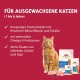 animonda Carny Adult Chicken + Trout (10 kg), Adult Dry Food for Adult Cats, Cat Food without Grain and Sugar, Cat Dry Food with 65% Meat and Fish animonda Carny Adult Chicken + Trout (10 kg), Adult Dry Food for Adult Cats, Cat Food without Grain and Sugar, Cat Dry Food with 65% Meat and Fish