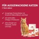 animonda Carny Adult Chicken + Trout (10 kg), Adult Dry Food for Adult Cats, Cat Food without Grain and Sugar, Cat Dry Food with 65% Meat and Fish animonda Carny Adult Chicken + Trout (10 kg), Adult Dry Food for Adult Cats, Cat Food without Grain and Sugar, Cat Dry Food with 65% Meat and Fish