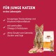 animonda Carny Adult Chicken + Trout (1.75 kg), Adult Dry Food for Adult Cats, Cat Food without Grain and Sugar, Cat Dry Food with 65% Meat and Fish animonda Carny Adult Chicken + Trout (1.75 kg), Adult Dry Food for Adult Cats, Cat Food without Grain and Sugar, Cat Dry Food with 65% Meat and Fish