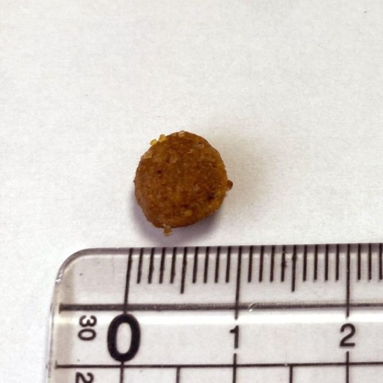 animonda INTEGRA PROTECT Urinary Struvite Stone Cat Food (1 x 1.2 kg), Recommended by Veterinarians for Urinary Stones, High-Quality Complete Diet Food for Adult Cats animonda INTEGRA PROTECT Urinary Struvite Stone Cat Food (1 x 1.2 kg), Recommended by Veterinarians for Urinary Stones, High-Quality Complete Diet Food for Adult Cats