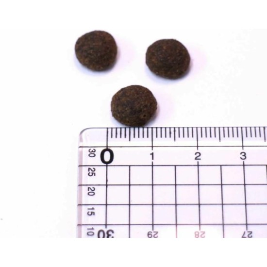 animonda INTEGRA PROTECT Urinary Struvite Stone Cat Food (1 x 1.2 kg), Recommended by Veterinarians for Urinary Stones, High-Quality Complete Diet Food for Adult Cats animonda INTEGRA PROTECT Urinary Struvite Stone Cat Food (1 x 1.2 kg), Recommended by Veterinarians for Urinary Stones, High-Quality Complete Diet Food for Adult Cats